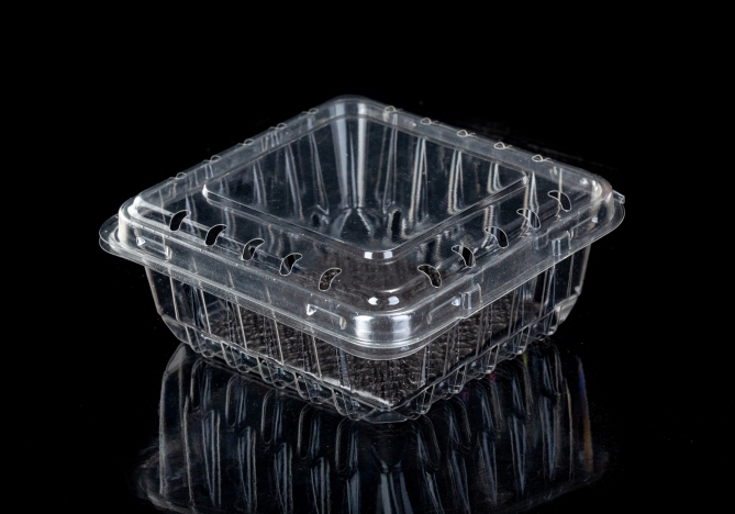 Stackable Transparent Fruit Packaging Box