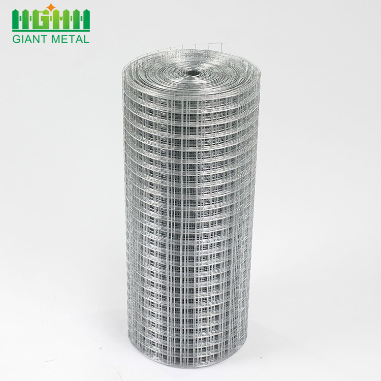 Bird Cage Galvanized Welded Wire Mesh Roll