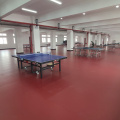 Tapis de sol pour tennis de table en PVC 2020 avec ITTF