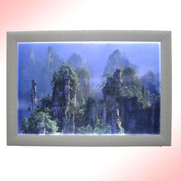 hotsale lenticular 3d pictures