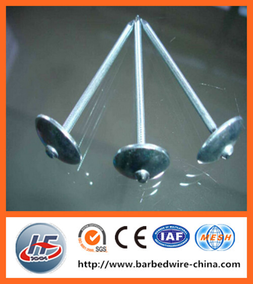 Best price and high quality roofing nails with umbrella head/metal roofing iron nail