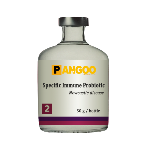 API №2 Probiotico immunitario per il pollame Newcastle disease