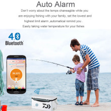 Free App Ble 4.0 thermometer-auto alarm data vision