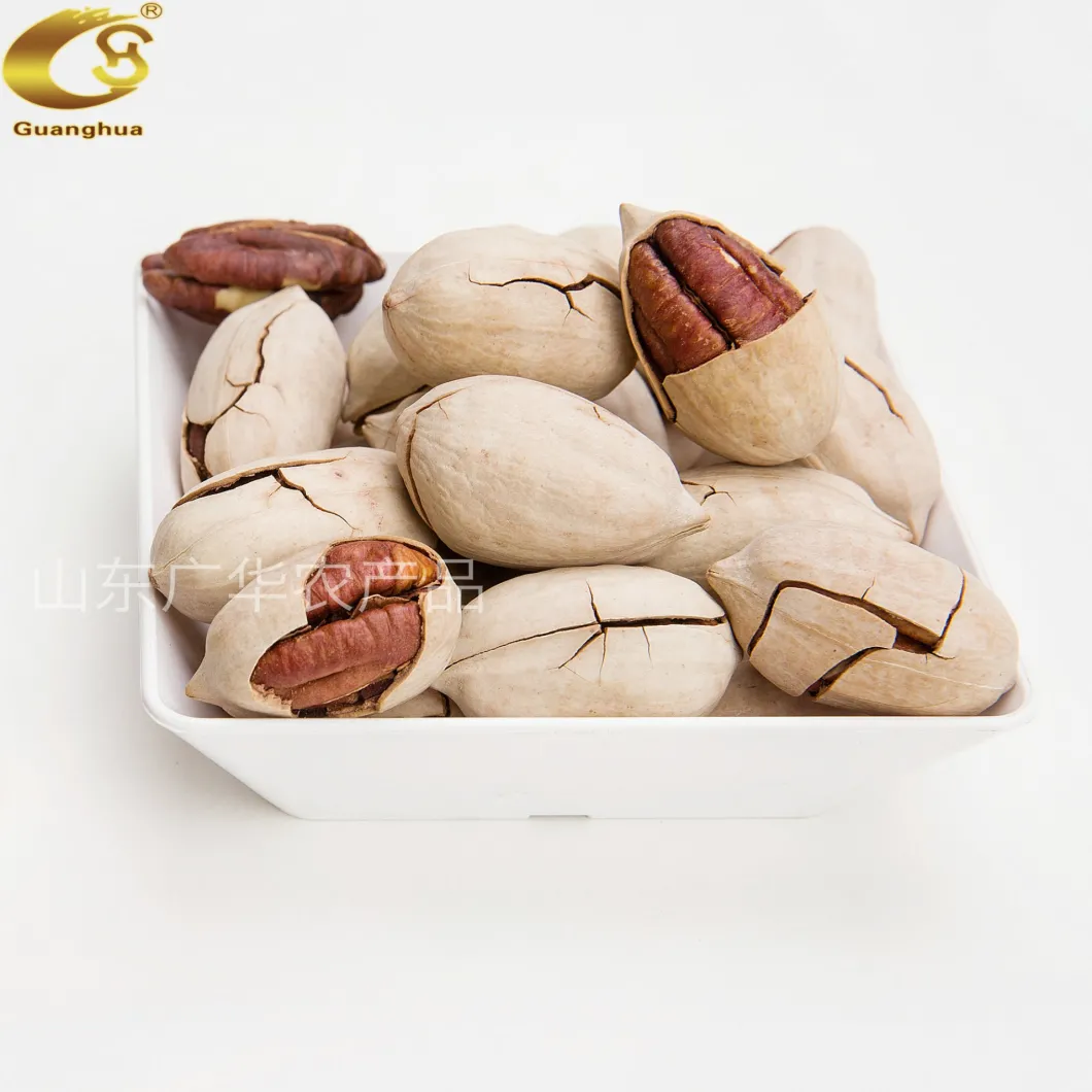 2020 New Crop High Quality Pecan Nuts