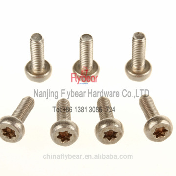Stainless Steel 304 micro torx security screw bolts