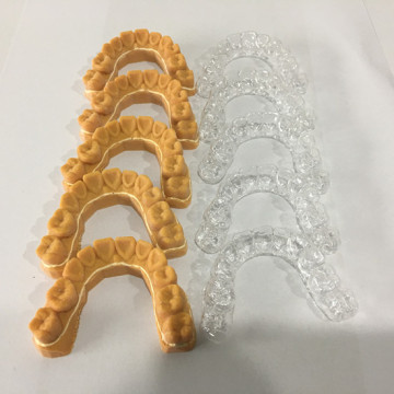 3D Printed Teeth Model