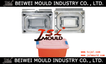 Plastic Turn Over Box Mold (mould-108)