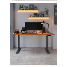 Home Office Electric Height Adjustable Sit Stand Desk