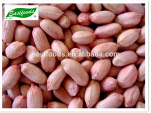 24/28 Peanut kernels(long type)