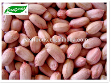 24/28 Peanut kernels(long type)