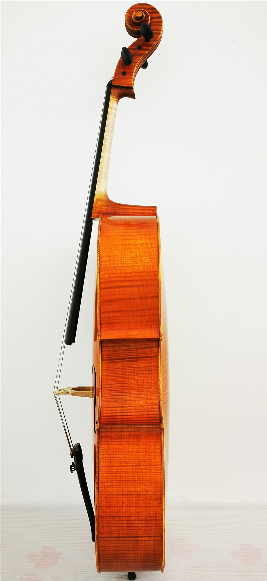 Cello Jm Coa 19 3