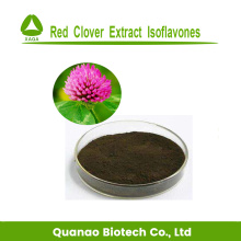 Natural Flavonoid 40% Isoflavones Powder Red Clover P.E