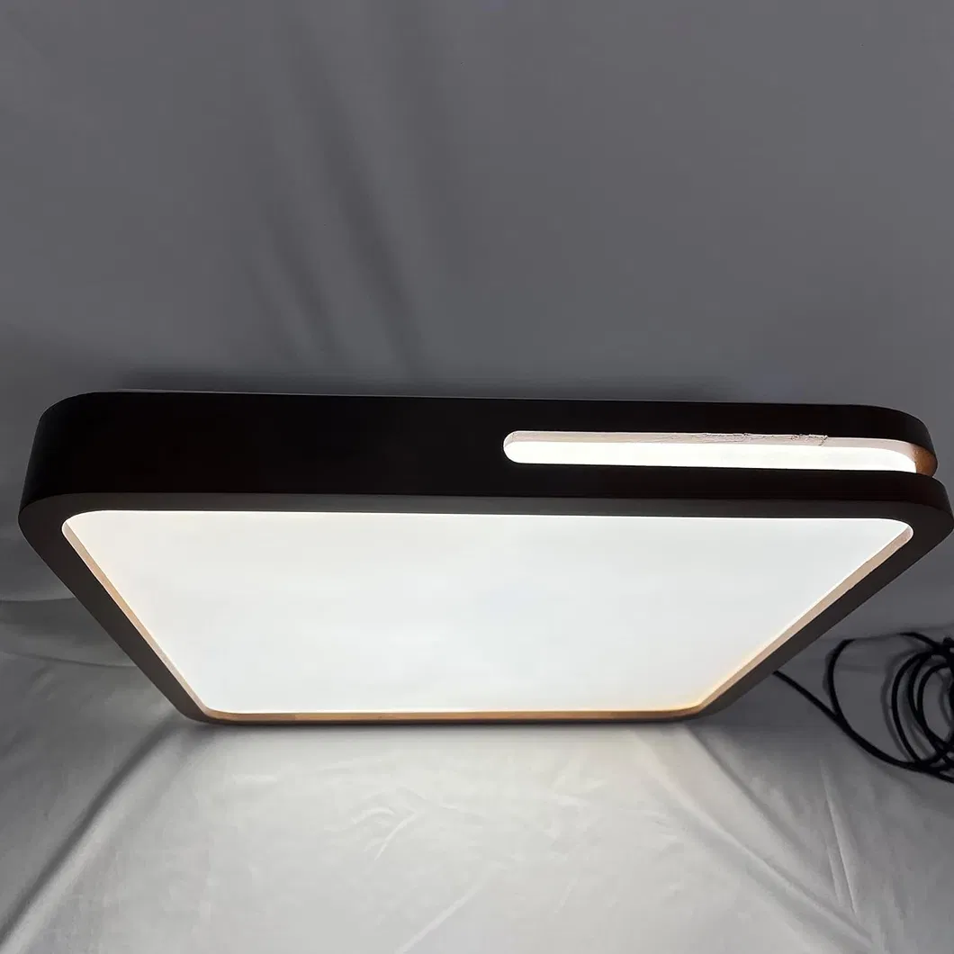Minimalist Design LED Ceiling Light for Modern Homes