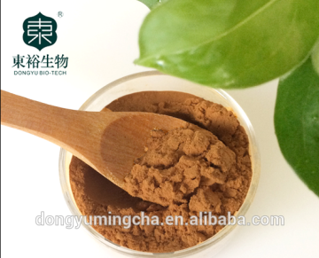 GMP Factory Green tea supplement Green tea extract for green tea pills