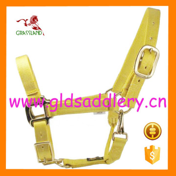 Elegant customized PP webbing horse halter