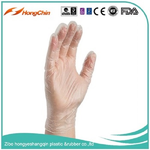 Clear Vinyl Glove