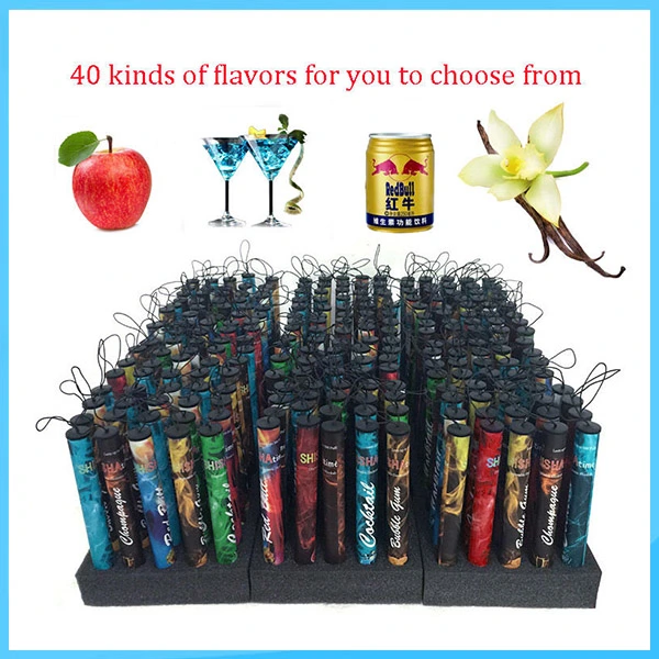 New Shisha Pens Disposable Electronic Cigarette Time Disposbale E CIGS 500 Puffs Various Fruit Flavors Hookah Pen 280mAh Battery