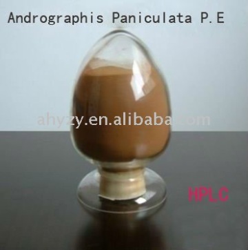 Andrographis paniculata extract