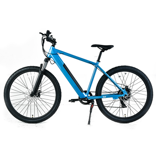 XY-SPORTSMAN ECO Best Electric Mountain Bike Under 3000