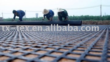 Glassfiber Geogrid/Road Reinforcement