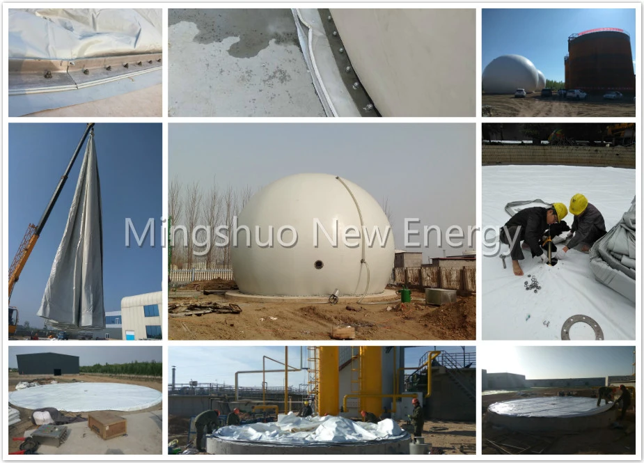 PVDF Biogas Storage Balloon for Combined Heat and Power Project