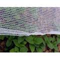 Flower protection agricultural insect net