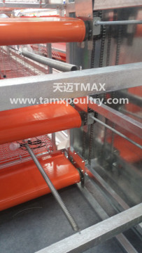 Manure Removal System