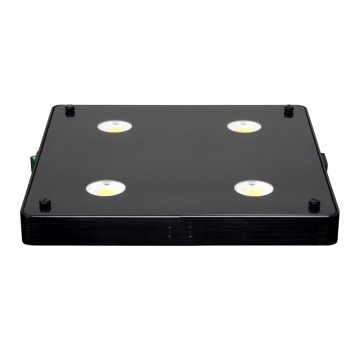 Increase yield 400w cob led grow light popular in Canada with big quantity discount
