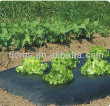 Biodegradable polyethlene sheeting for ground cover