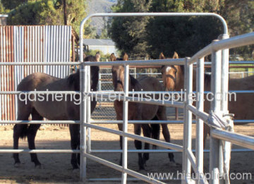 Competitive Horse Stall