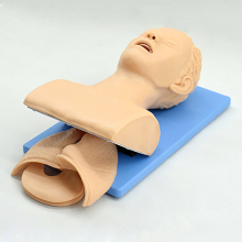 Advanced Intubation Training: Electronic Tracheal Intubation Simulator and Endotracheal Intubation Model