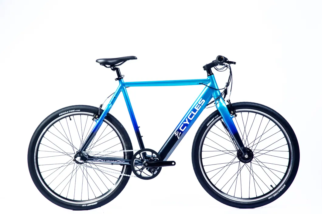 Popular Hot Sales Electric Bike 650b E-Bike Front Motor Nexus 3 Speed Vbrake