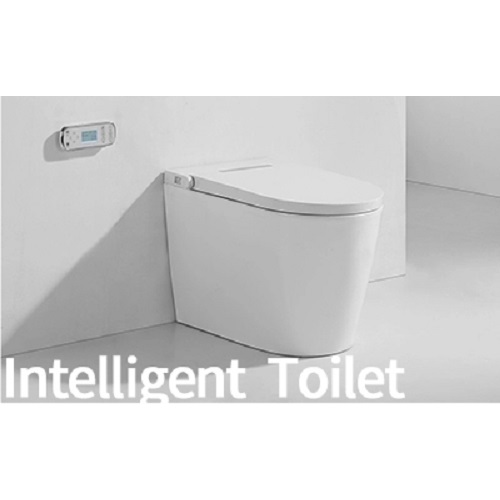 Hygiene Toilet Seat Cover Wall-Hung Toilet And Bidet Bathroom Sprayer