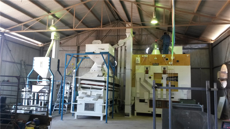 planta de limpeza de grãos grain cleaning plant