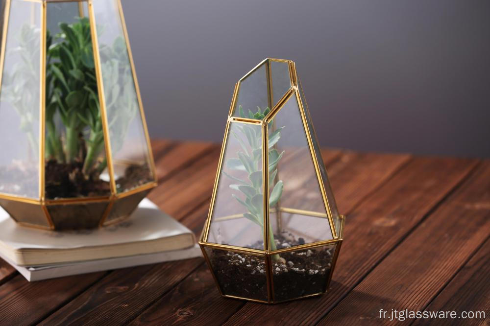 Vente chaude de terrarium en verre pour plantes d&#39;intérieur géométriques