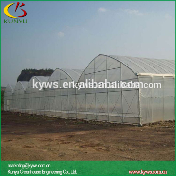 Agricultural plastic film for greenhouse, greenhouse plastic film