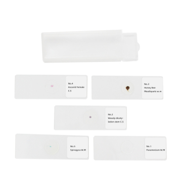 University Microscope Slides for Animal and Plant Studies