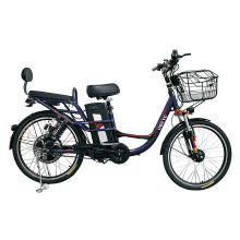 China Electric Bicycles and Urban City Cycles with Hub Motor 1000w - OEM Support