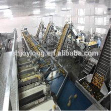 5000LPH fruit juice and juice powder production juice making machine