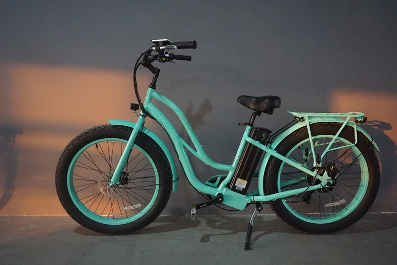 Fat Tire Electric Bike for Women 26inch/ 750W Ebike En15974 E-Bike