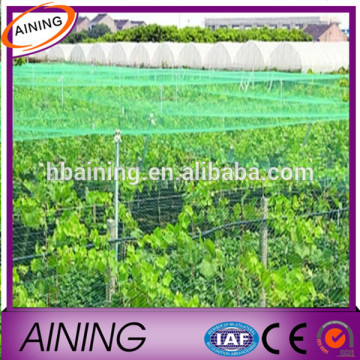 Fruit Tree Netting/ Cheap Bird Netting