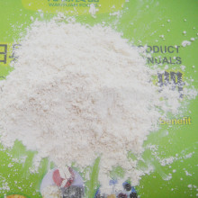 High quality spicy dehydrated garlic powder