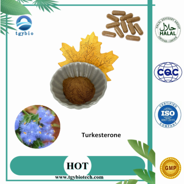 Polvo de turcesterona 100% natural para el culturismo 2% -10%