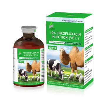 10%Enrofloxacin Injection 5ml 10ml for animal cure