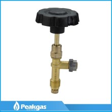 LPG Gas Cylinder Valve: Top Quality LPG Gas Control Valve
