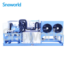 Snoworld Ice Block Making Machine Sold In Botswana