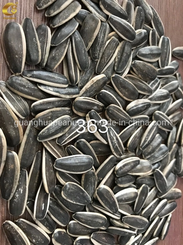 Hot Sales New Crop Sunflower Seeds From Shandong Guanghua