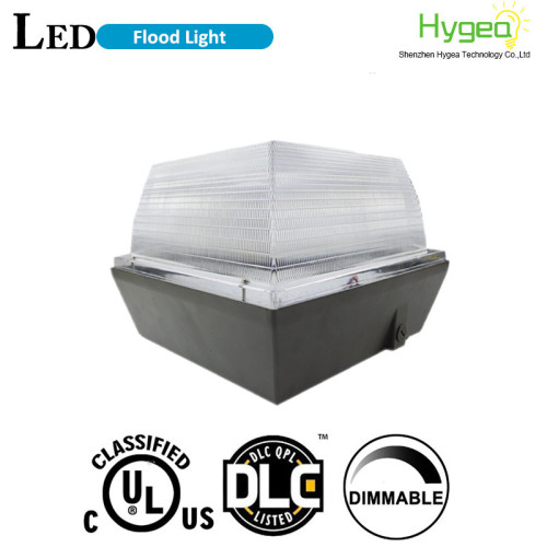 High Performance DLC 40W LED Canopy Light
