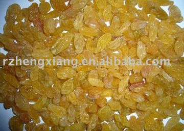 golden raisins