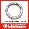 Crankshaft Oil Seal 3921927